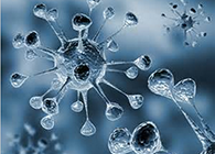 九游会老哥俱乐部体内体外药效试验顺遂通过药监局审查