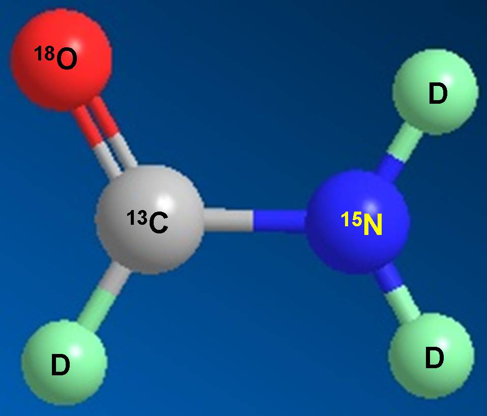 九游会老哥俱乐部科研职员受邀担当同位素手艺交流培训会讲师