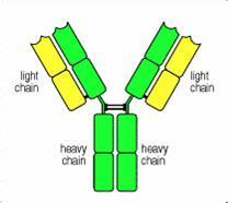 九游会老哥必备的交流社区_俱乐部论坛帖子