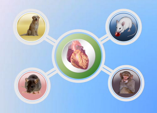 九游会老哥必备的交流社区_俱乐部论坛帖子