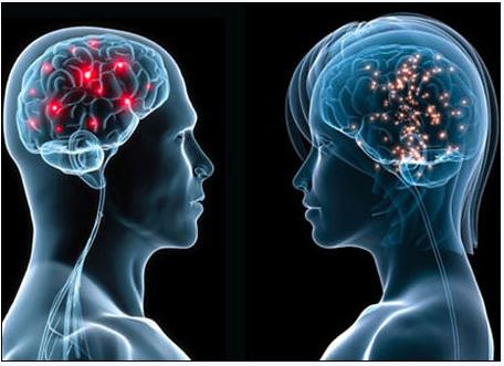 5月2号，医药经济报上揭晓了关于陈春麟博士的报道——CRO的中国式崛起路径