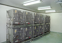 九游会老哥必备的交流社区_俱乐部论坛帖子