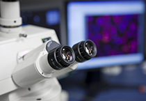 九游会老哥必备的交流社区_俱乐部论坛帖子