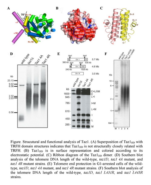 九游会老哥必备的交流社区_俱乐部论坛帖子