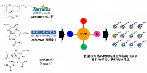 图2：以现有抗流感药物的结构为基础，举行多样性药物分子库的合成。