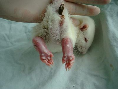 九游会老哥必备的交流社区_俱乐部论坛帖子