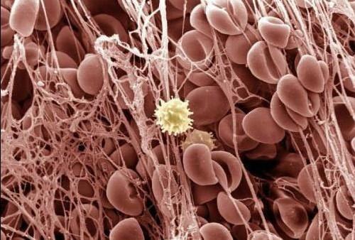 九游会老哥必备的交流社区_俱乐部论坛帖子