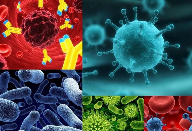 原位杂交手艺——九游会老哥俱乐部