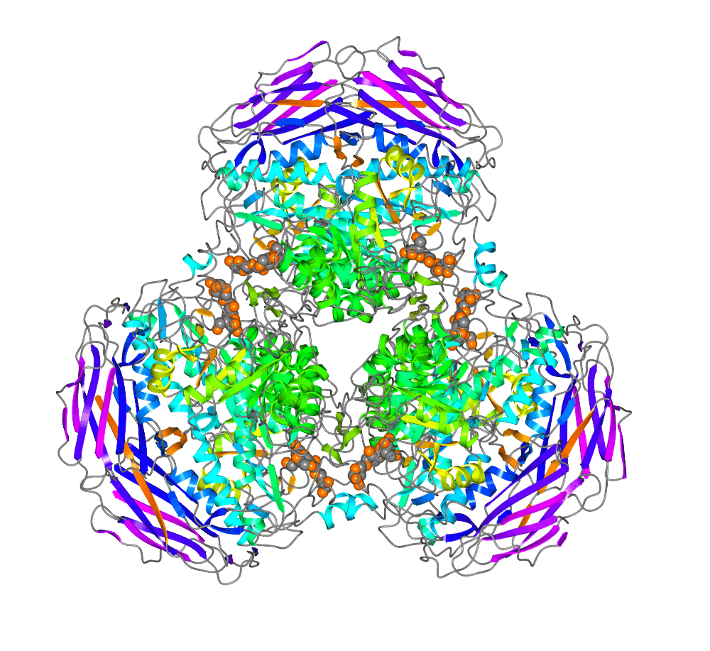 卵白表达效劳先容