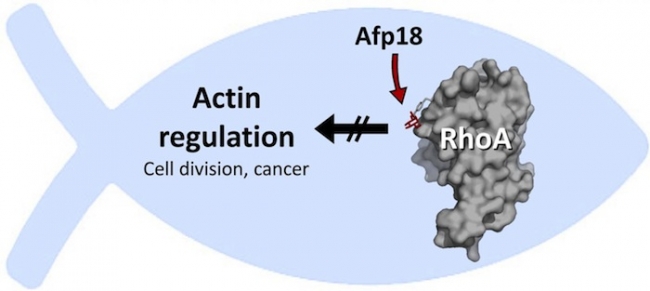 九游会老哥必备的交流社区_俱乐部论坛帖子