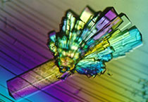 九游会老哥必备的交流社区_俱乐部论坛帖子