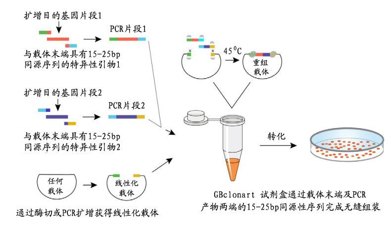 九游会老哥必备的交流社区_俱乐部论坛帖子