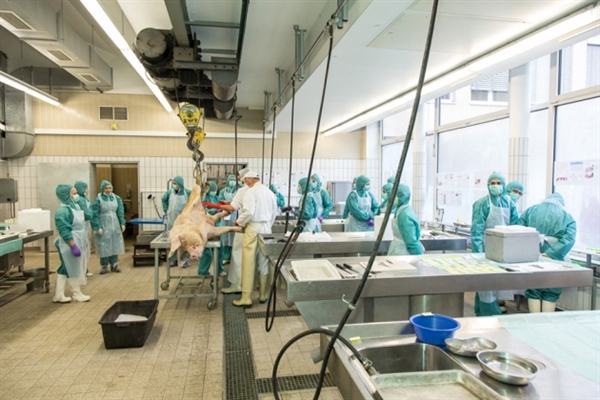 2015年8月24日-8月28日全球申报情形