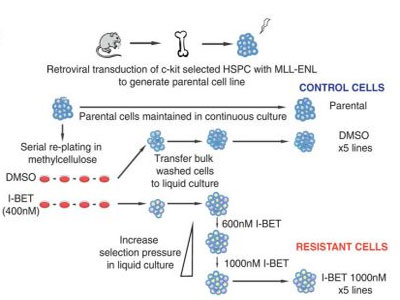 九游会老哥必备的交流社区_俱乐部论坛帖子