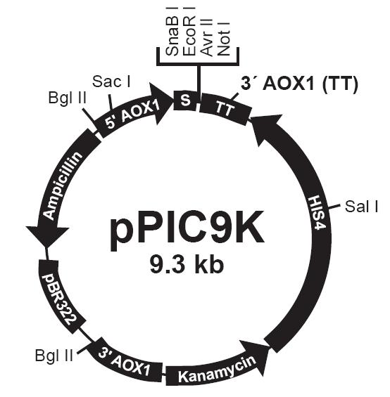 九游会老哥必备的交流社区_俱乐部论坛帖子