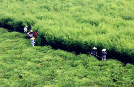 九游会老哥必备的交流社区_俱乐部论坛帖子
