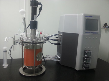 九游会老哥俱乐部的生物药（抗体）实验室即将投入使用