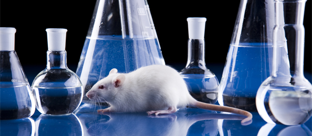 九游会老哥必备的交流社区_俱乐部论坛帖子