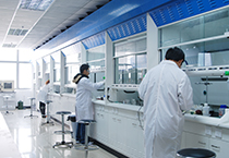 Cancercell：靶向组卵白甲基酶PRMT1治疗急性髓系白血病