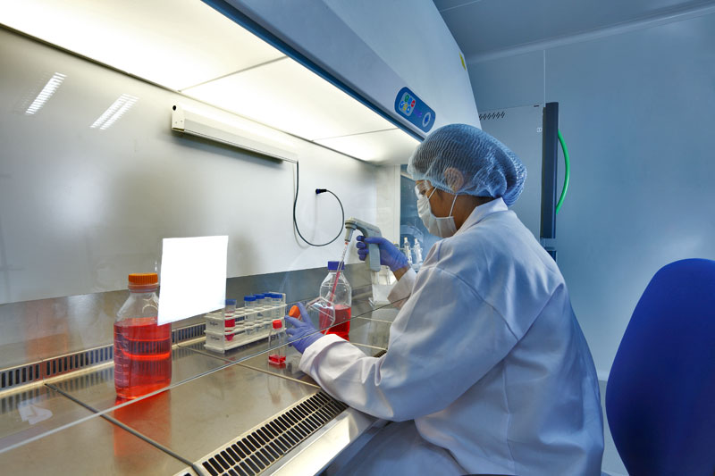 2015年度中国药品批准盘货：化药不批准率超20%，中药上市数目翻3倍