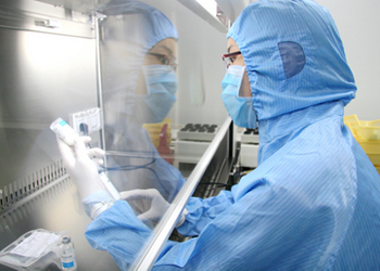 美FDA：“中华牛鞭”含隐藏因素或与部分处方药反应