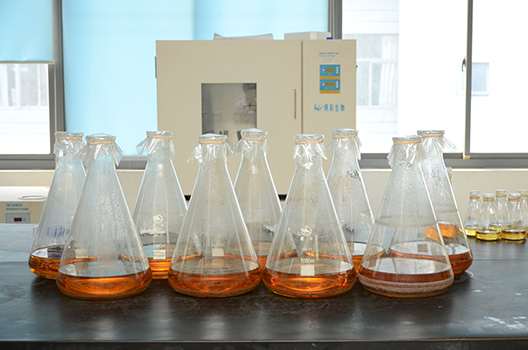 九游会老哥俱乐部制剂中心GMP中试车间完工