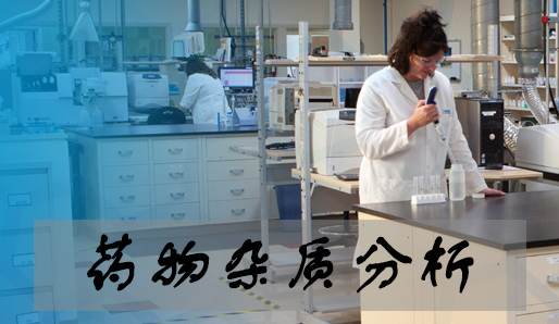 九游会老哥俱乐部药物杂质剖析效劳