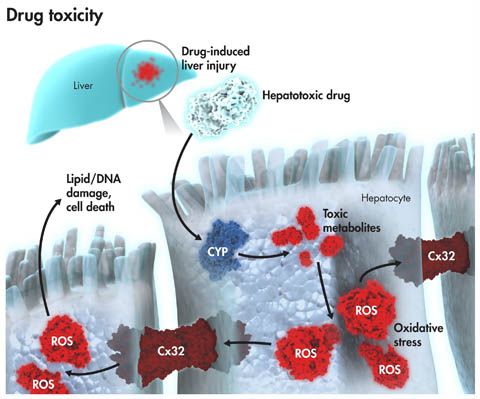 九游会老哥必备的交流社区_俱乐部论坛帖子