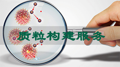 九游会老哥俱乐部质粒构建效劳