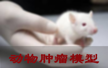 九游会老哥俱乐部肿瘤模子建设效劳