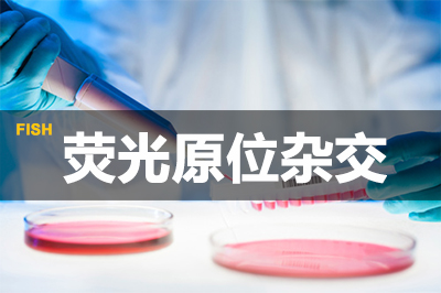 九游会老哥俱乐部荧光原位杂交手艺