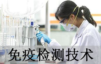 九游会老哥俱乐部免疫学检测手艺剖析效劳