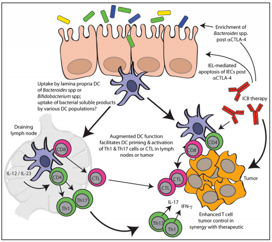 九游会老哥必备的交流社区_俱乐部论坛帖子
