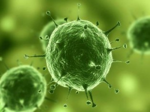 九游会老哥必备的交流社区_俱乐部论坛帖子