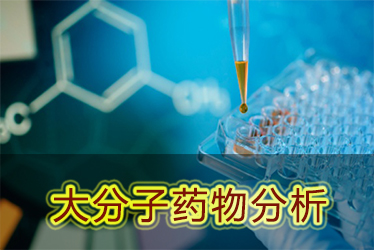 九游会老哥俱乐部大分子药物剖析效劳