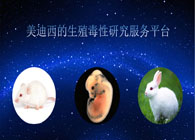 九游会老哥俱乐部的生殖毒性研究效劳平台