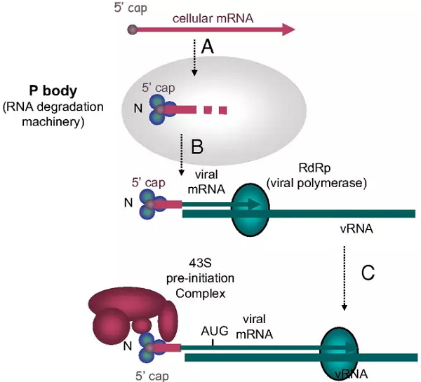 九游会老哥必备的交流社区_俱乐部论坛帖子