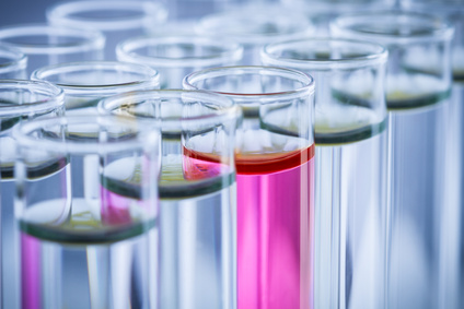 下一家引疯抢的生物手艺公司是谁？