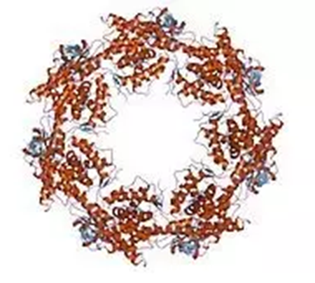 九游会老哥必备的交流社区_俱乐部论坛帖子