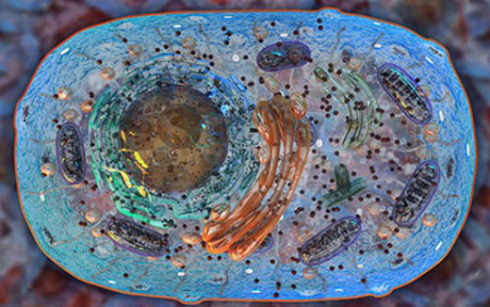 九游会老哥必备的交流社区_俱乐部论坛帖子