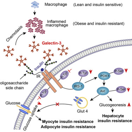 九游会老哥必备的交流社区_俱乐部论坛帖子