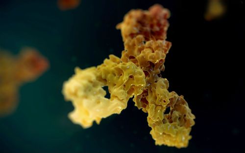 九游会老哥必备的交流社区_俱乐部论坛帖子