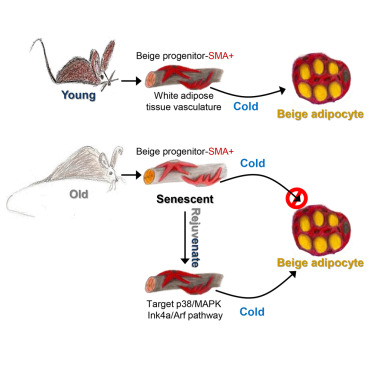 九游会老哥必备的交流社区_俱乐部论坛帖子