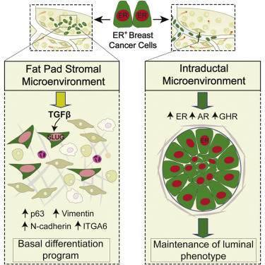 九游会老哥必备的交流社区_俱乐部论坛帖子