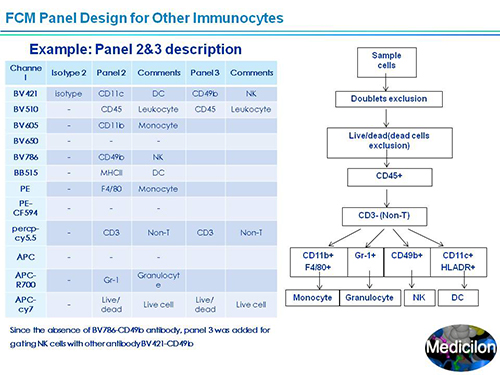 九游会老哥俱乐部副总裁汪俊博士SAPA-DC聚会演讲PPT