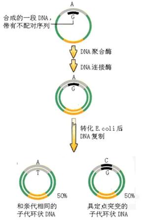 九游会老哥必备的交流社区_俱乐部论坛帖子