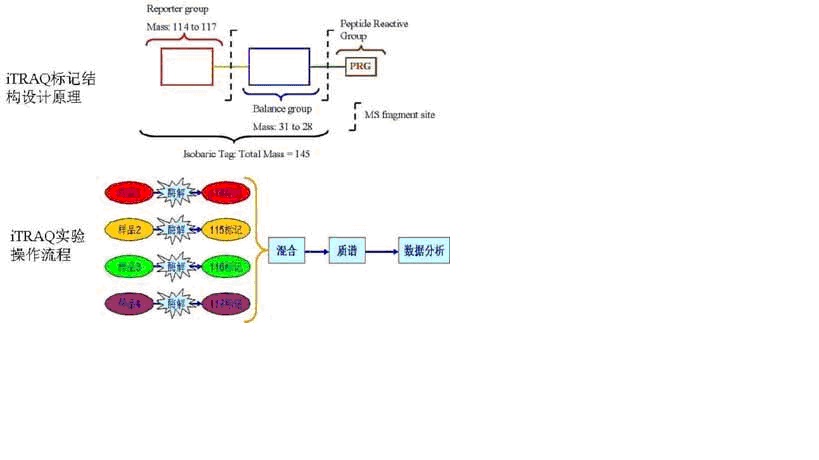 九游会老哥必备的交流社区_俱乐部论坛帖子