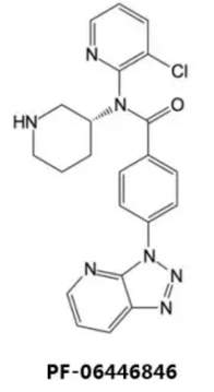 九游会老哥必备的交流社区_俱乐部论坛帖子
