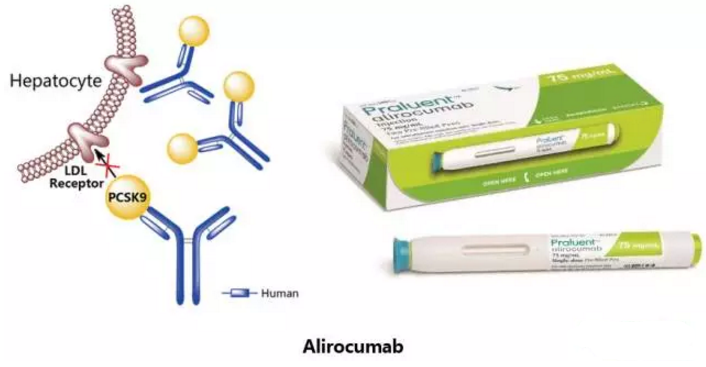 九游会老哥必备的交流社区_俱乐部论坛帖子