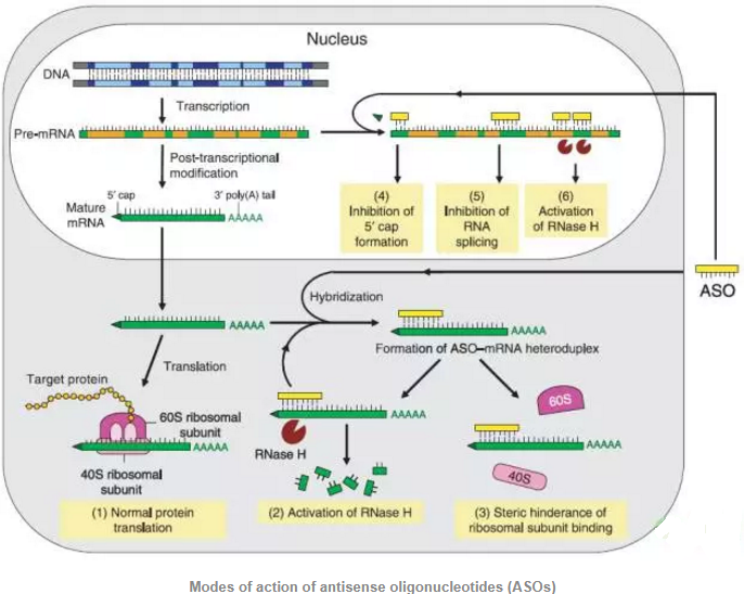 九游会老哥必备的交流社区_俱乐部论坛帖子